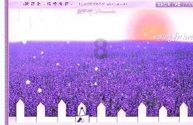 海产大王2中文版