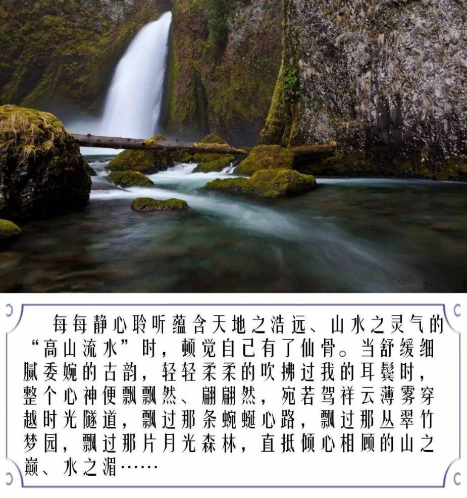 历史上乒乓球单打最强的男女运动员分别是谁?-专家解答,快速解决您的问题